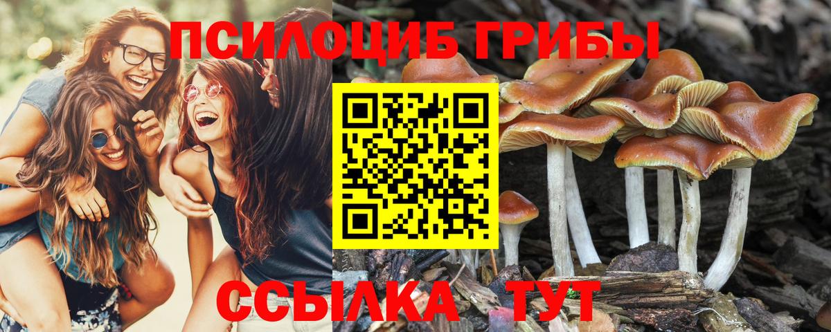 Галлюциногенные грибы ЛСД  Вход с VPN  Кириши 